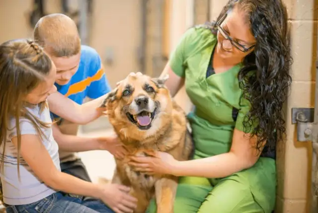 Czy można zostać wolontariuszem w schronisku w wieku 13 lat? Sprawdź wymagania