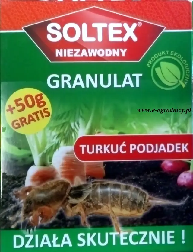 Skuteczne sposoby na turkucia podjadka w ogrodzie, które działają