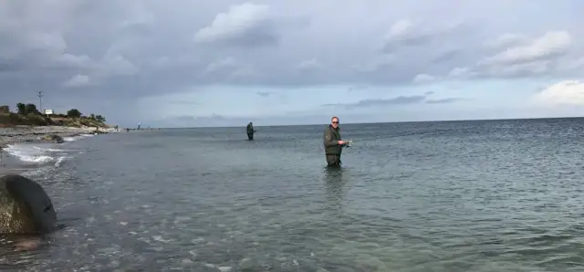 Die besten Köder für Meerforelle: So fangen Sie garantiert mehr Fische