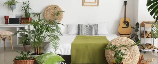 Jakie kwiaty do sypialni poprawią Twój sen i jakość powietrza