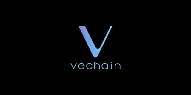 VET mining pool - kompletna instrukcja wydobywania kryptowaluty VeChain