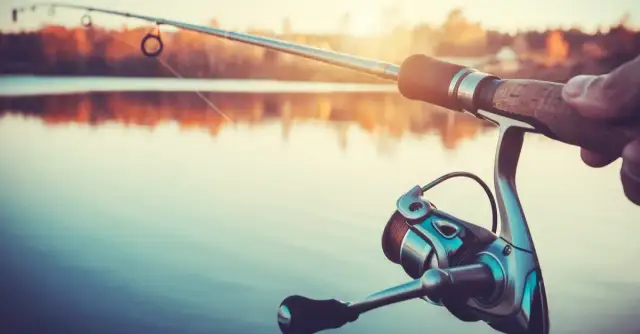 Welche Angelrolle wählen? Tipps für die perfekte Auswahl und Nutzung