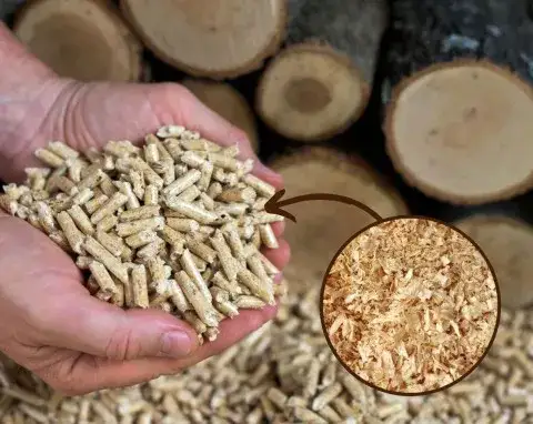 Jak produkować pellet: Kluczowe etapy i tajemnice efektywnej produkcji