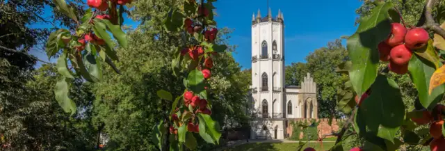 Opinogóra atrakcje: Odkryj nieznane skarby i ciekawe miejsca