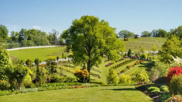 Najlepszy czas na wizytę w Arboretum Wojsławice – uniknij rozczarowania i zaplanuj idealną wycieczkę