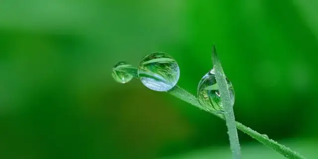 Ile wody na m2 trawnika? Poznaj idealne ilości dla zdrowego trawnika