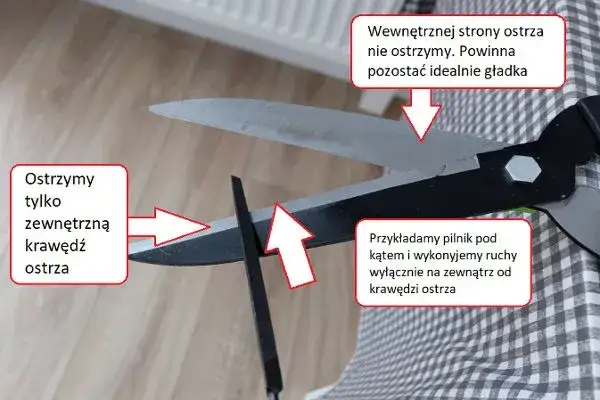 Jak naostrzyć nożyce ogrodowe, aby uzyskać idealne cięcie i długowieczność