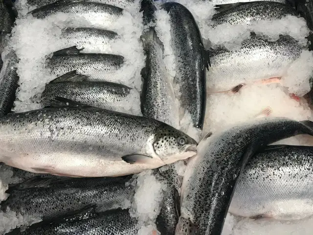 Czy łosoś z Biedronki jest zdrowy? Sprawdź jego właściwości odżywcze