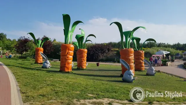 Najlepsze miejsca, gdzie pojechać z dzieckiem - radość i zabawa czekają