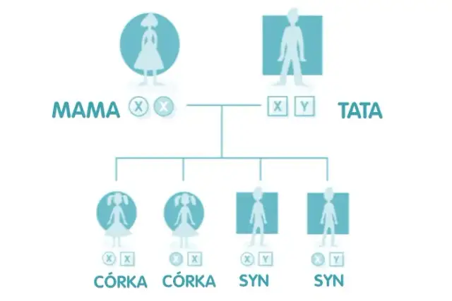 Kiedy zna się płeć dziecka? Metody i terminy dla przyszłych rodziców
