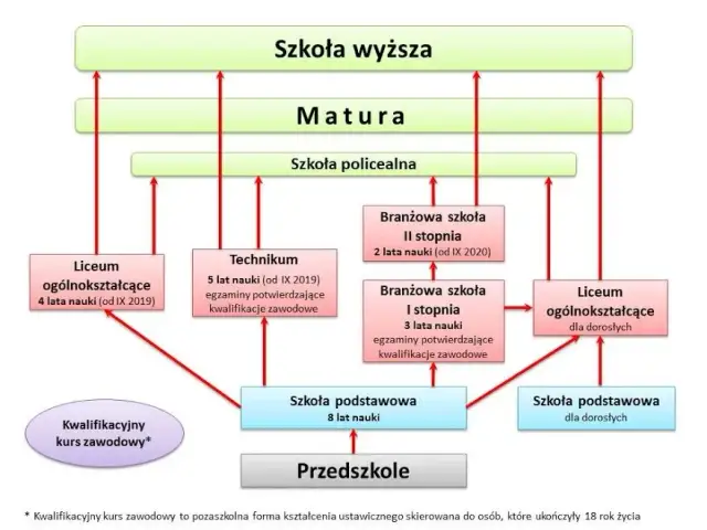 Jak wygląda życie dzieci w szkole: etapy edukacji i system nauczania w Polsce