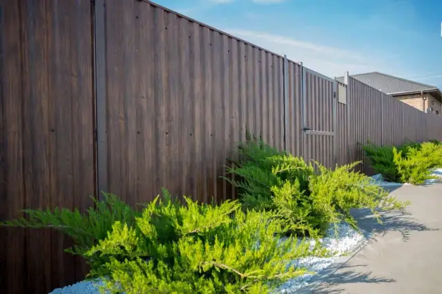 Jak obsadzić działkę przy płocie, by zyskać prywatność i urok?