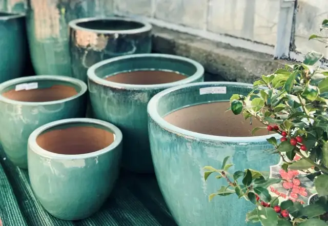 Jak prawidłowo wyrzucać doniczki ceramiczne - poradnik recyklingu