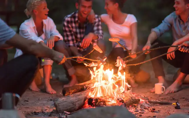 Czy można palić ognisko na działce ROD? Sprawdź przepisy i zakazy