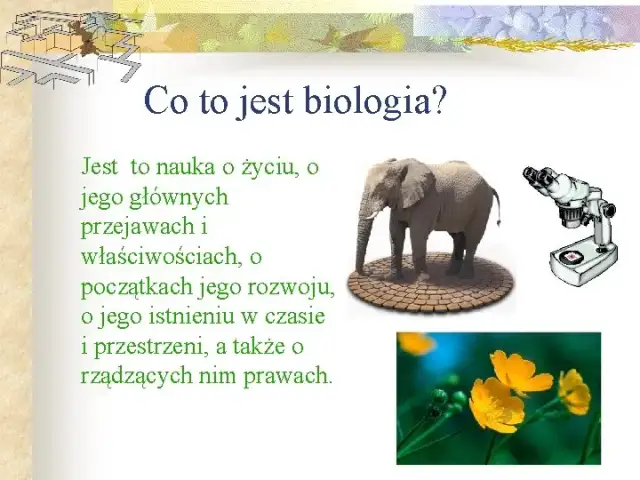 Biologia co to jest? Prosta definicja, zastosowania i główne działy nauki