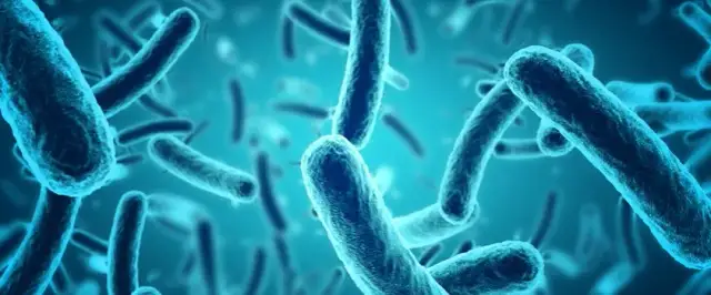 Liczne bakterie w moczu: 7 zagrożeń dla ciężarnych i ich dzieci