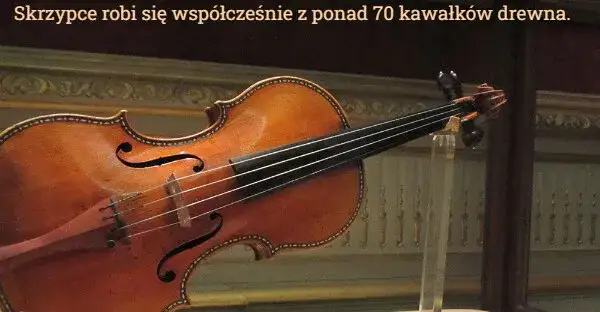 Z jakiego drewna robi się skrzypce i dlaczego ma to kluczowe znaczenie?