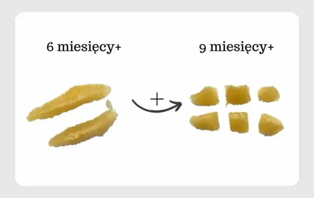 Od kiedy pomarańcza dla niemowlaka – bezpieczeństwo, alergia i zalecenia pediatryczne