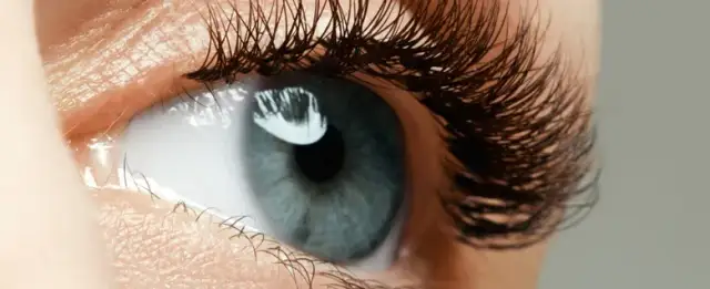 Po co są rzęsy? Poznaj ich kluczową rolę w ochronie oczu
