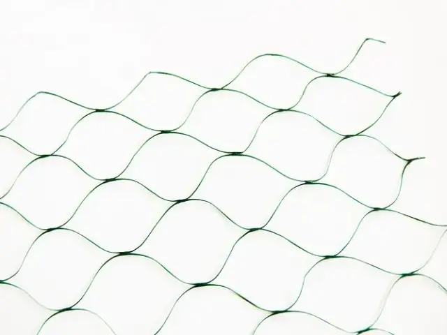 Jak się nazywa siatka na ptaki i jak skutecznie ją wykorzystać