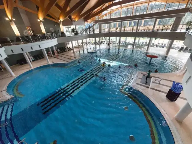 Jakie termy wybrać – porównanie, zalety i wady dla różnych zastosowań