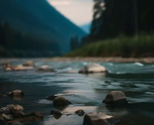 Jak robić zdjęcia obiektywem stałoogniskowym i poprawić swoją fotografię