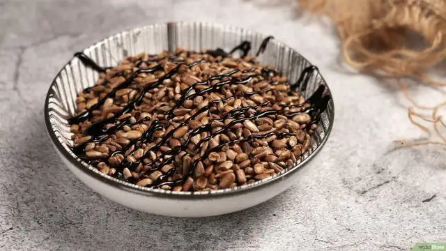Savourez les bienfaits des graines de tournesol grillées pour vos apéritifs