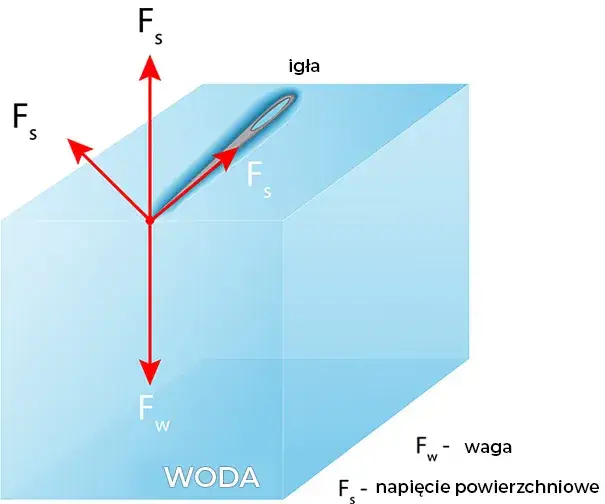 Wszystko co musisz wiedzieć o zjawisku napięcia powierzchniowego - kompendium