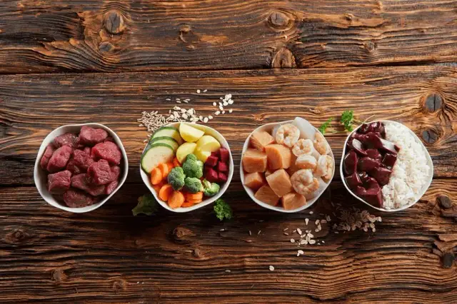 Co ugotować dla kota: zdrowe przepisy i wskazówki, które zachwycą pupila