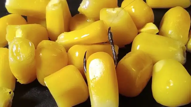 Jak zakładać kukurydzę na haczyk, aby złapać więcej ryb