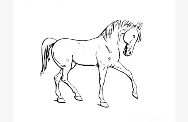 Kopać się z koniem co to znaczy? Zrozum sens bezsensownej walki