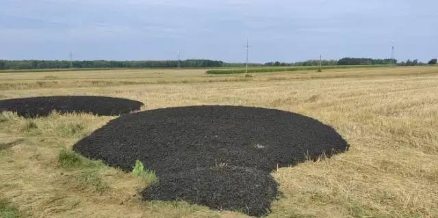 Osad z oczyszczalni na pole: prawne zasady i bezpieczne stosowanie nawozów