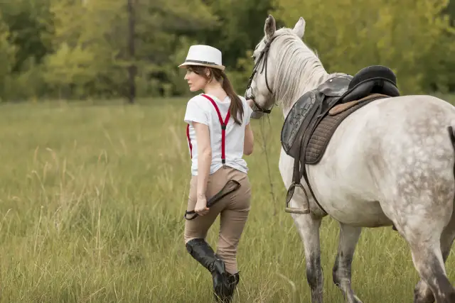 Podstawowy sprzęt jeździecki dla początkujących – co kupić na start przygody z jeździectwem?