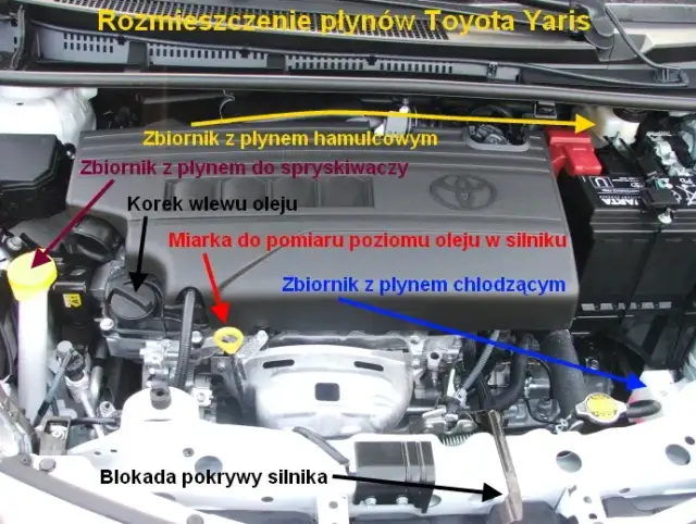 Pytania na egzaminie praktycznym: Kluczowe aspekty i porady