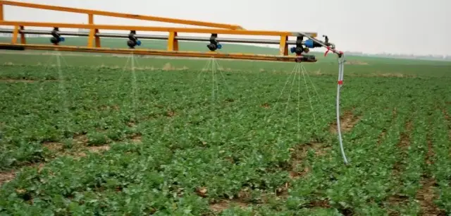 Co to jest RSM? Poznaj wszystko o stosowaniu nawozu azotowego