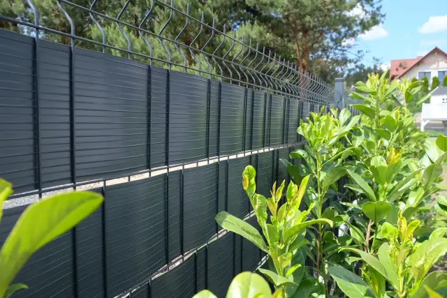 Jak zasłonić ogrodzenie panelowe i poprawić jego wygląd w prosty sposób