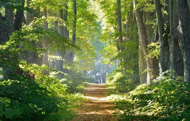 7 skutecznych sposobów jak odnaleźć spokój duszy i wewnętrzną harmonię