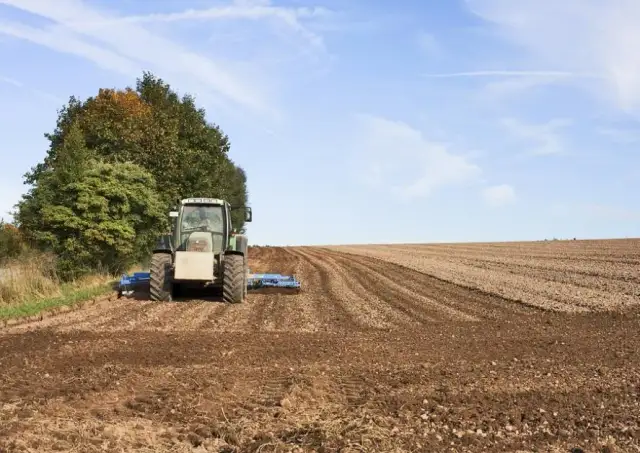 Czy rolnik ryczałtowy może wystawić fakturę? Oto zaskakujące odpowiedzi
