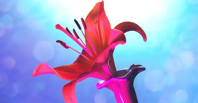 Najpiękniejsze życzenia: Jak wyrazić uczucia w niezapomniany sposób?