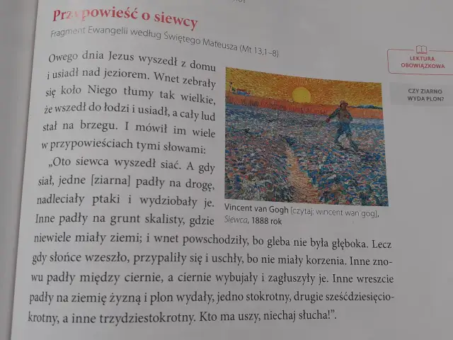 Czego uczy nas przypowieść o siewcy? Kluczowe lekcje i duchowe przesłanie