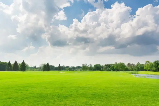 Działka rekreacyjna co to? Poznaj jej zastosowanie i ograniczenia