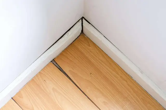 Czym wypełnić szpary w parkiecie? Najlepsze materiały i metody naprawy