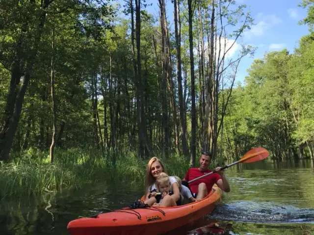 Spływy kajakowe Borsk - idealne trasy i noclegi nad Wdą