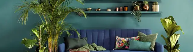 Jakiej firmy farbę wybrać do malowania ścian? Najlepsze opcje i porady