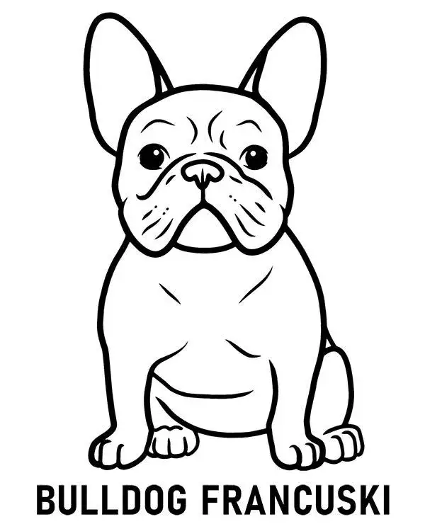 Buldog francuski kolorowanka – darmowe wzory do druku i korzyści z kolorowania