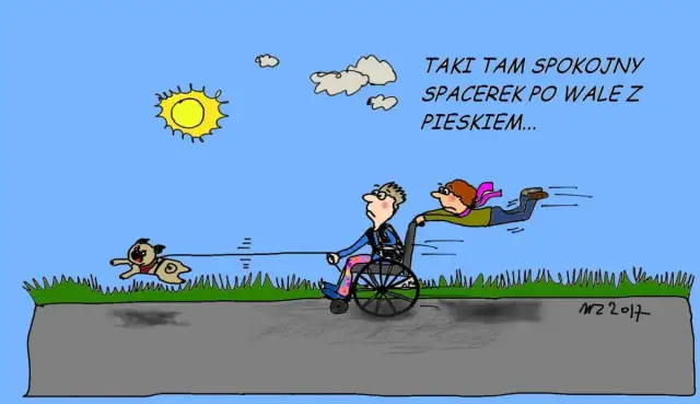 Najlepszy przyjaciel człowieka: niezwykłe historie psiej lojalności