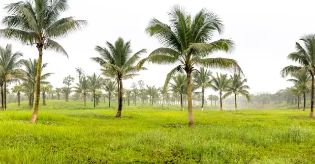 Przewodnik turystyczny po Kubie co warto zobaczyć na wyspie