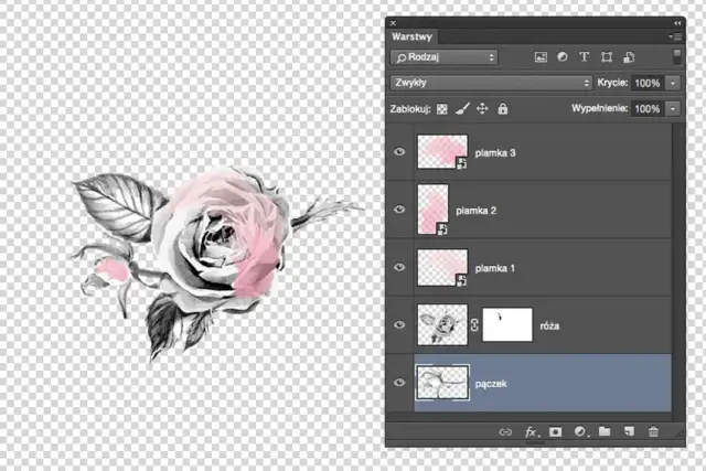 Jak dodać zdjęcie do warstwy w Photoshopie i uzyskać spektakularne efekty