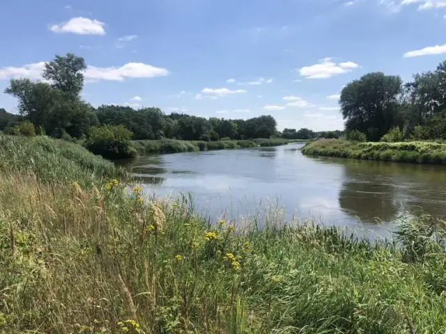 Atrakcje w Środzie Wielkopolskiej, które musisz zobaczyć i przeżyć