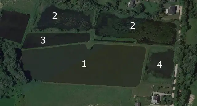 Łowisko Grodzisk Mazowiecki – idealne miejsce dla wędkarzy i miłośników natury